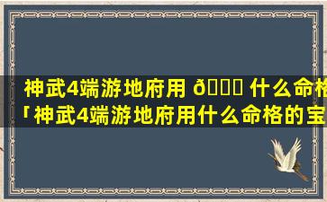 神武4端游地府用 🕊 什么命格「神武4端游地府用什么命格的宝宝」